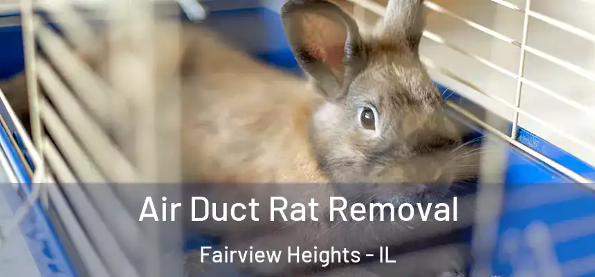Air Duct Rat Removal Fairview Heights - IL