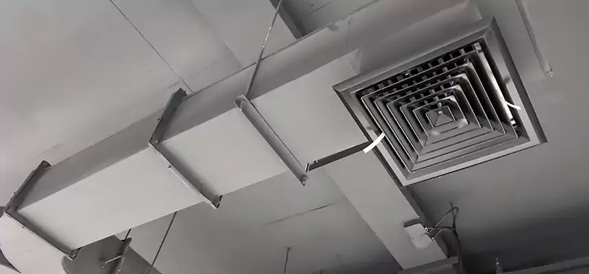 Restorative Allergy Relief Vent Cleaning – Coil, Blower & Housing Detail in Fairview Heights