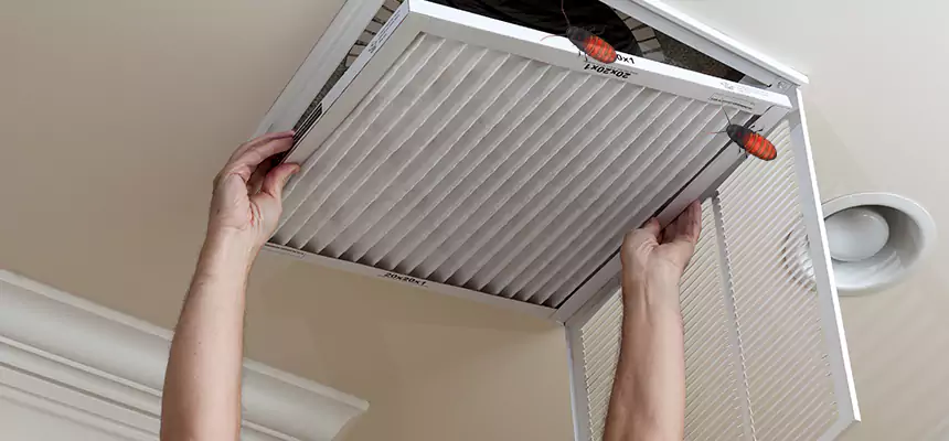 Our Insect Removal from Air Ducts Services in Fairview Heights, IL