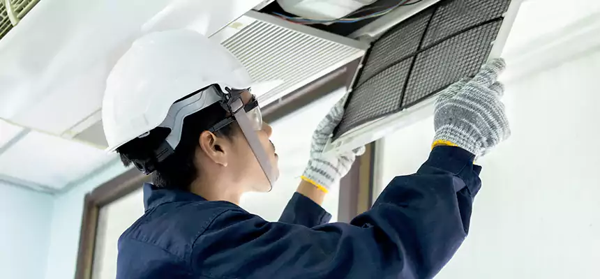 Our Mold & Mildew Removal from Air Ducts Services in Fairview Heights, IL