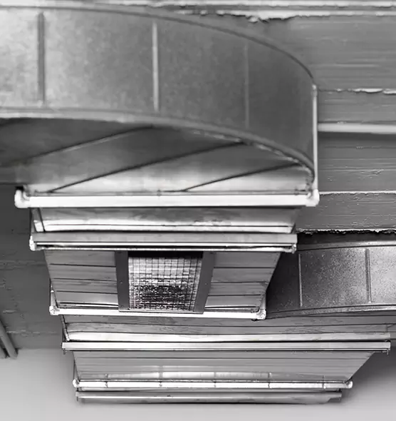 Professional Air Duct Pest Removal in Fairview Heights, IL