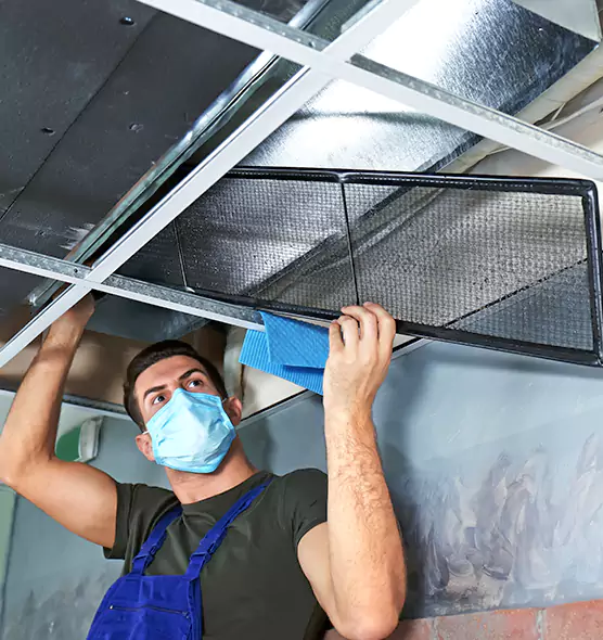 Professional Air Duct Pollen Cleaning in Fairview Heights, IL