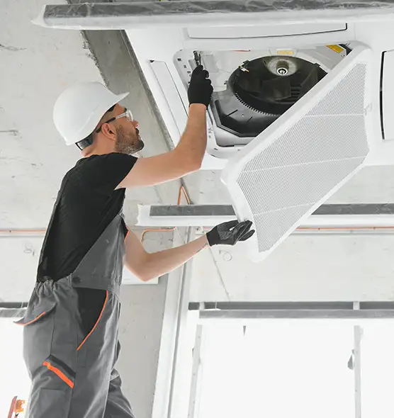 About Air Duct Rodent Removal in Fairview Heights, IL