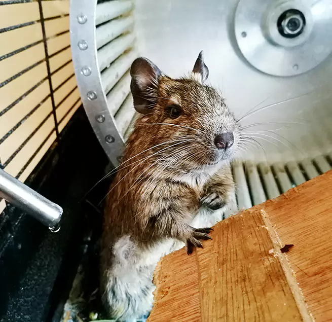 Why Homeowners & Businesses Trust Us Fairview Heights, IL?